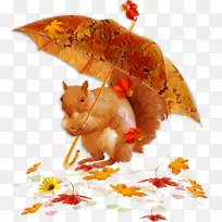 秋季博客雨社交媒体-秋季-空若网 秋季博客雨社交媒体-秋季-空若网