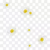 材料珠宝-空若网 材料珠宝-空若网