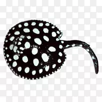 苏氏铁木耳玻璃ALT属性花瓶回波cs-400玻璃-空若网 苏氏铁木耳玻璃ALT属性花瓶回波cs-400玻璃-空若网