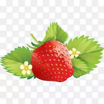 ��ݮ������-��ݮ-������