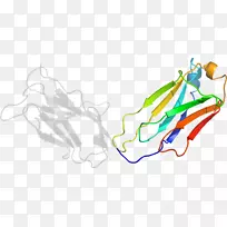 平面设计剪贴画.设计-空若网 平面设计剪贴画.设计-空若网