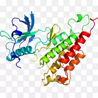 生物线动物剪贴画线-空若网 生物线动物剪贴画线-空若网
