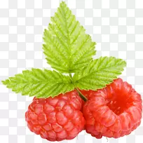 �����Ӽ�����-������-������