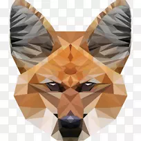 对称食肉-空若网 对称食肉-空若网