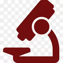 电脑图标设计光学显微镜-空若网 电脑图标设计光学显微镜-空若网