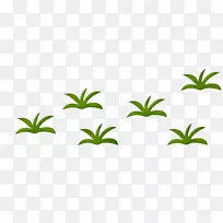 草本植物绘画动画剪贴画-空若网 草本植物绘画动画剪贴画-空若网