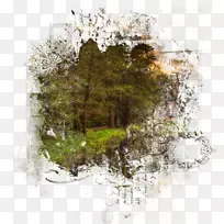 ¼ôÌù»-¿ÕÈôÍø ¼ôÌù»-¿ÕÈôÍø