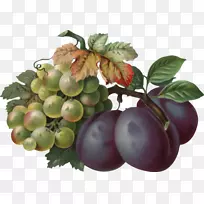 普通葡萄、葡萄酒、浆果、无核葡萄-空若网 普通葡萄、葡萄酒、浆果、无核葡萄-空若网