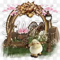 动物-空若网 动物-空若网