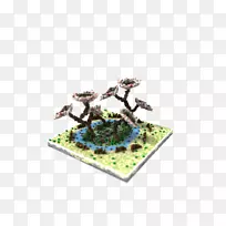 盆景树-空若网 盆景树-空若网