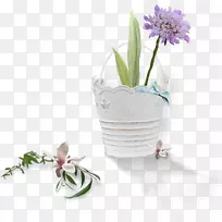 ��������-����-������