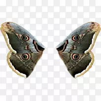 �ɶ���������Ƭ-����-������