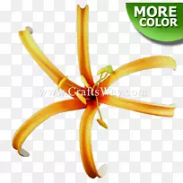 人体珠宝字体-空若网 人体珠宝字体-空若网