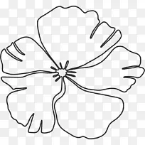 花卉设计画橙色S.A.组成/m/02csf-空若网 花卉设计画橙色S.A.组成/m/02csf-空若网