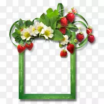 草莓电子邮件-空若网 草莓电子邮件-空若网