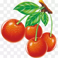 ӣ�Ҳ�ݮ-������