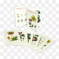 abc�������Ӱֲ��ѧ-������