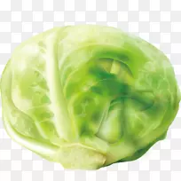 红白菜十字花科蔬菜剪贴画.卷心菜装饰设计-空若网 红白菜十字花科蔬菜剪贴画.卷心菜装饰设计-空若网