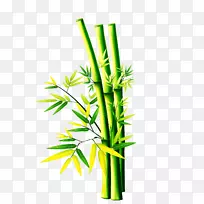 竹子-空若网 竹子-空若网