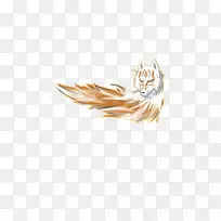 羽尾耳羽-空若网 羽尾耳羽-空若网