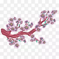 花-空若网 花-空若网