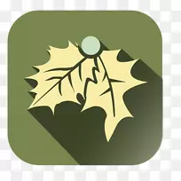 叶树-叶-空若网 叶树-叶-空若网