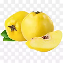 昆士兰医药保健草药茶药用植物.健康-空若网 昆士兰医药保健草药茶药用植物.健康-空若网