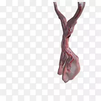 手指雕像-空若网 手指雕像-空若网