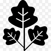 ����ͼ�������-������