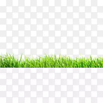 ºûµû²Ýƺ-Âó²Ý-ÄÜÁ¿±ÚÖ½-²Ý-¿ÕÈôÍø ºûµû²Ýƺ-Âó²Ý-ÄÜÁ¿±ÚÖ½-²Ý-¿ÕÈôÍø