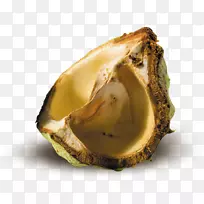 Å·ÖÞÂíÀõÊ÷-¿ÕÈôÍø Å·ÖÞÂíÀõÊ÷-¿ÕÈôÍø