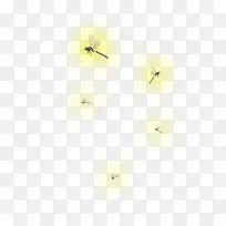 萤火虫图片工作室昆虫桌面壁纸-空若网 萤火虫图片工作室昆虫桌面壁纸-空若网