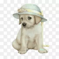 ����С��-����-������