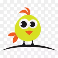 澳大利亚鸡舍-鸡-空若网 澳大利亚鸡舍-鸡-空若网