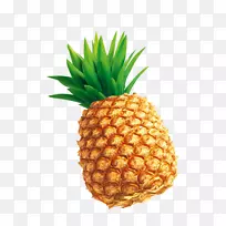 菠萝下载-诱人的菠萝-空若网 菠萝下载-诱人的菠萝-空若网