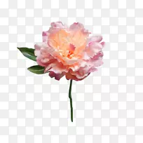 ĵ�������컨�л�-ĵ��-������