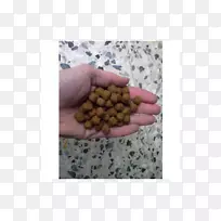 手指-空若网 手指-空若网