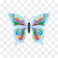 蛾形设计-空若网 蛾形设计-空若网