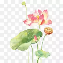 Ë®²Ê»¼¼·¨Ë®²Ê»»¨-¿ÕÈôÍø Ë®²Ê»¼¼·¨Ë®²Ê»»¨-¿ÕÈôÍø