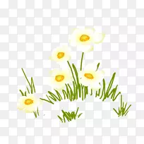 普通雏菊花设计剪贴画花-空若网 普通雏菊花设计剪贴画花-空若网