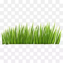 �����ֽ����ͼ�������-������