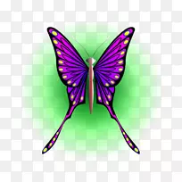 帝王蝴蝶昆虫飞蛾剪贴画-蝴蝶-空若网 帝王蝴蝶昆虫飞蛾剪贴画-蝴蝶-空若网