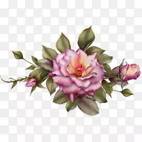 ֽ��ֽ���������Ӱ-������