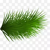 Ë®²Ê»-СÇà²Ý-¿ÕÈôÍø Ë®²Ê»-СÇà²Ý-¿ÕÈôÍø