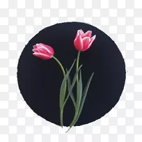 ������ۺ�-�����㻭-������