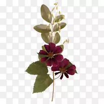 �廨����-������