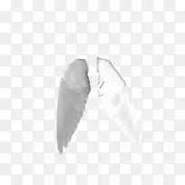 H&M-���-������