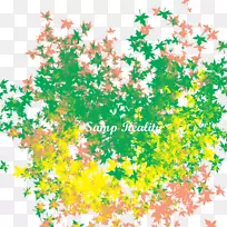 株系点叶花瓣开花植物系-空若网 株系点叶花瓣开花植物系-空若网