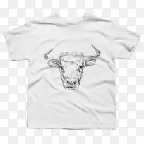 ӡ��t����װ������t��-������