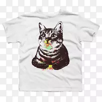 ӡ��t��������-������